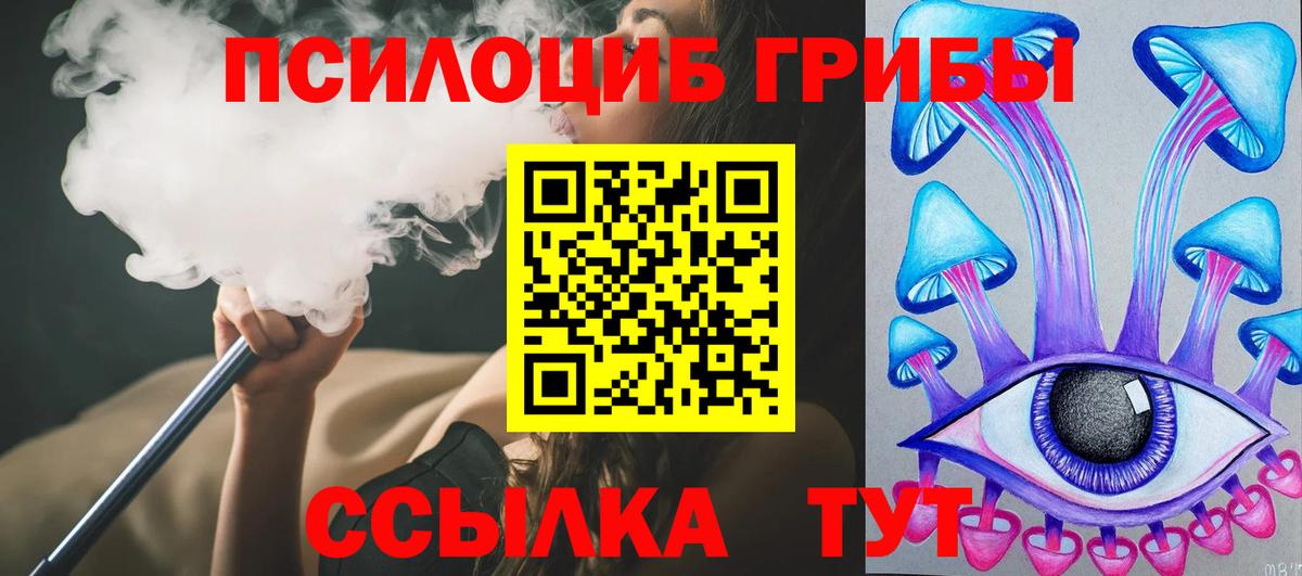 Псилоцибиновые грибы GOLDEN TEACHER Кызыл